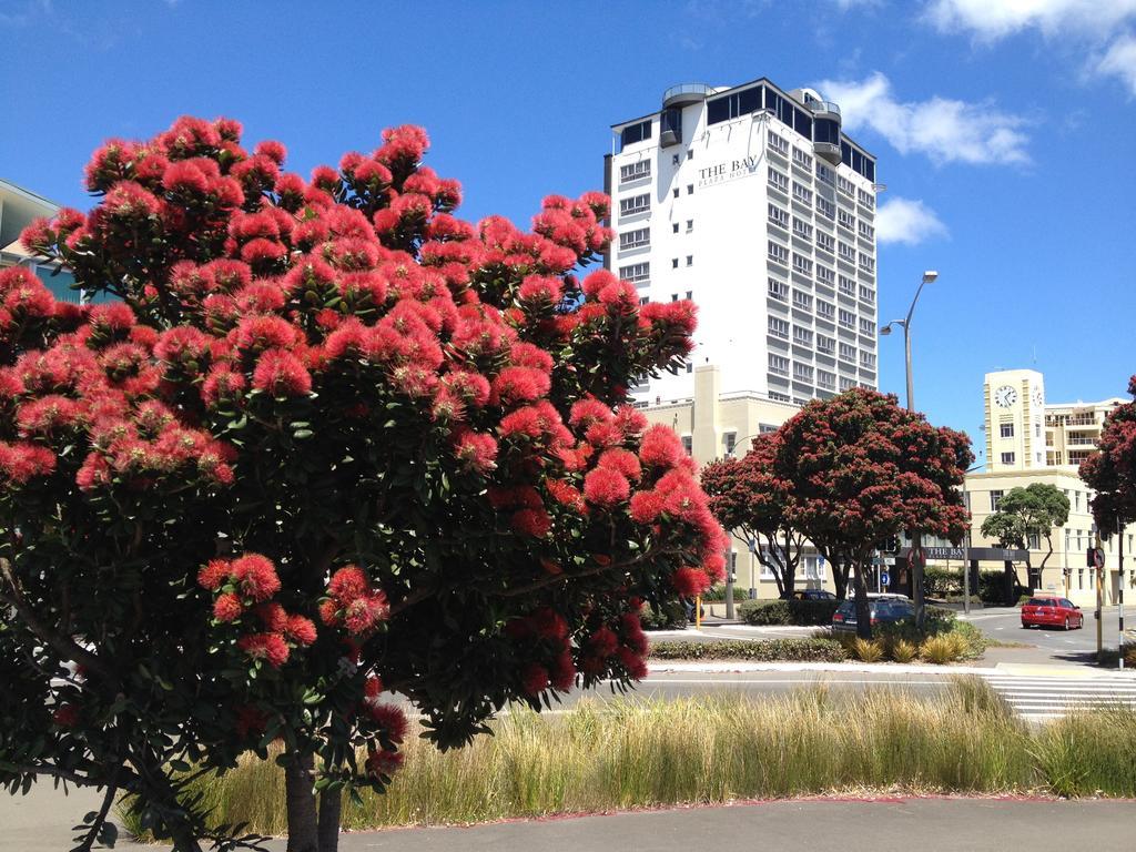 Bay Plaza Hotel Уелингтън Екстериор снимка